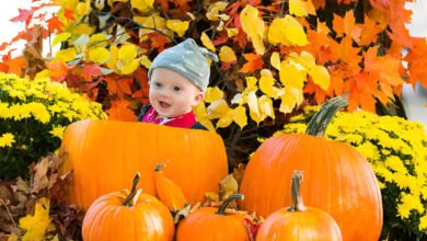 Capture the Magic with Pumpkin Boo Baby Themed Fall Photoshoots