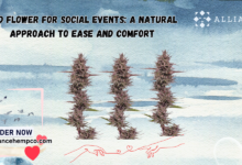 CBD Flower for Social Events