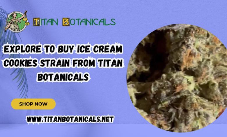 Buy Ice Cream Cookies Strain