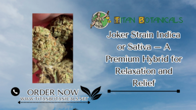 Joker Strain Indica or Sativa