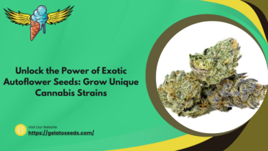 Exotic Autoflower Seeds